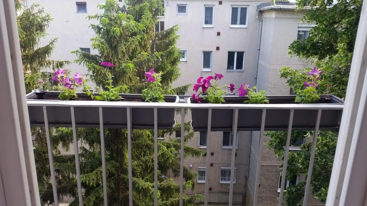 Tisza-Parti Napfeny Apartman Szeged Exterior foto